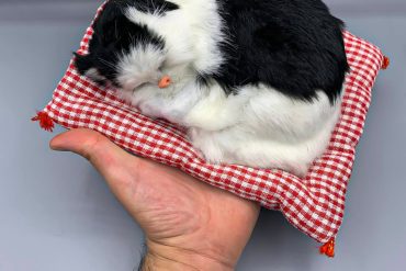 عروسک گربه خوابیده 20 سانتی | 14020318