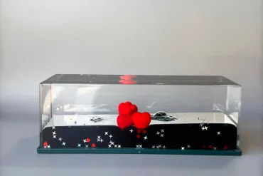 دکوری آکواریومی قلب شناور + ویدیو 14031237