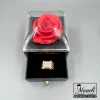 انگشتر زنانه شیک ژوپینگ نگین مخراج شده|14040503 - Image 4