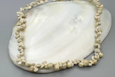 گردنبند حلزونی طبیعی| گردنبند صدفی |14040720