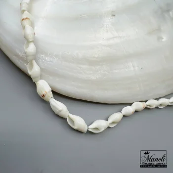 گردنبند صدف طبیعی |گردنبند تابستانه|14040721 - Image 3