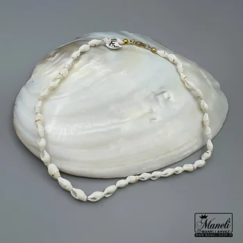 گردنبند صدف طبیعی |گردنبند تابستانه|14040721