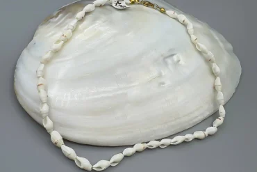 گردنبند صدف طبیعی |گردنبند تابستانه|14040721