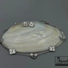 سرویس ونکلیف مسترکوالتی