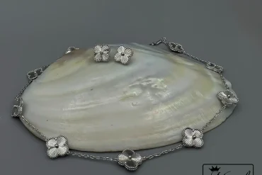 سرویس ونکلیف مسترکوالتی