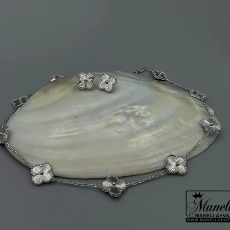 سرویس ونکلیف مسترکوالتی