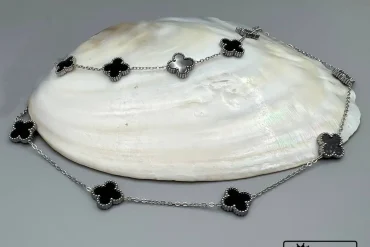 سرویس ونکلیف